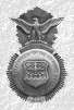 SP Badge small