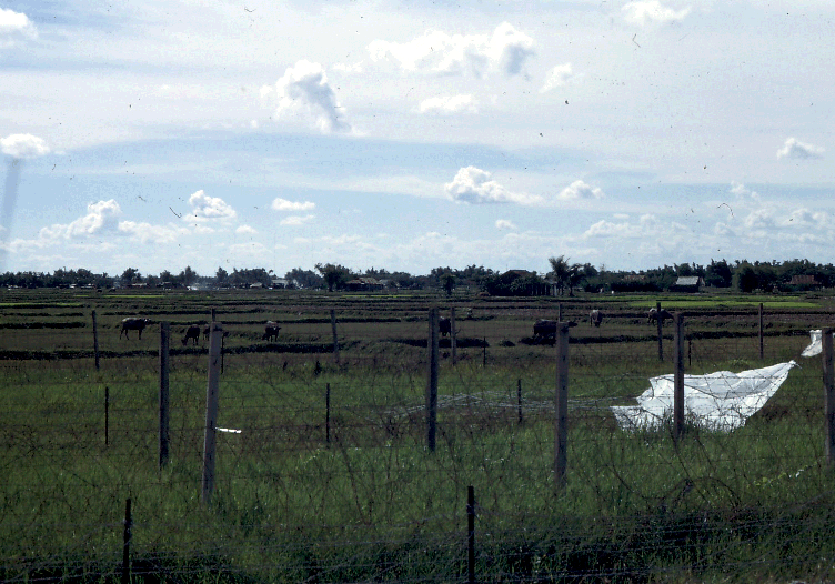 North West Perimeter 1