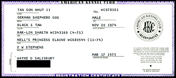 American Kennel Club